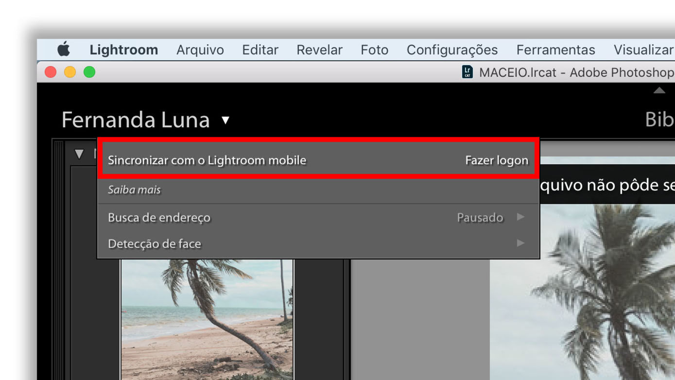 Gcam Brasil - Como importar presets do Lightroom