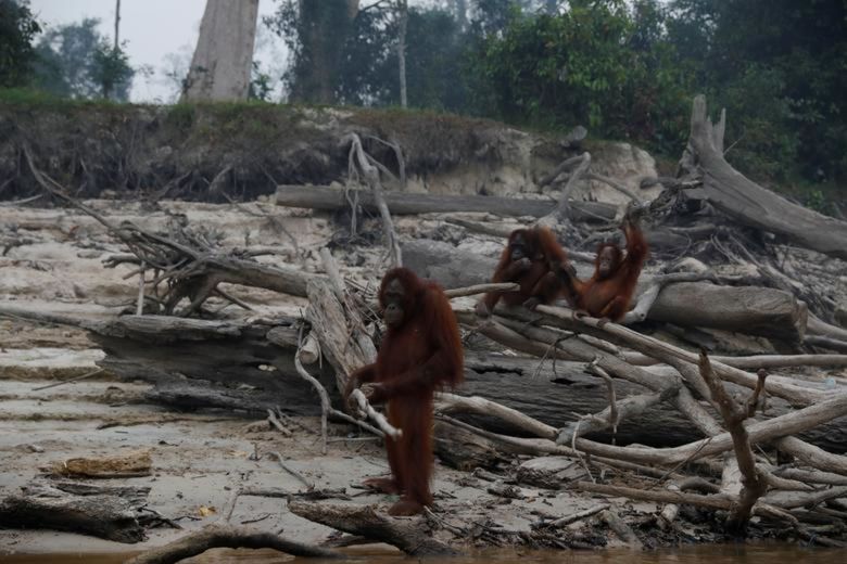 Foto Retrospectiva 2019 em 100 fotos Foto Retrospectiva 2019 em 100 fotos - Imagem 43