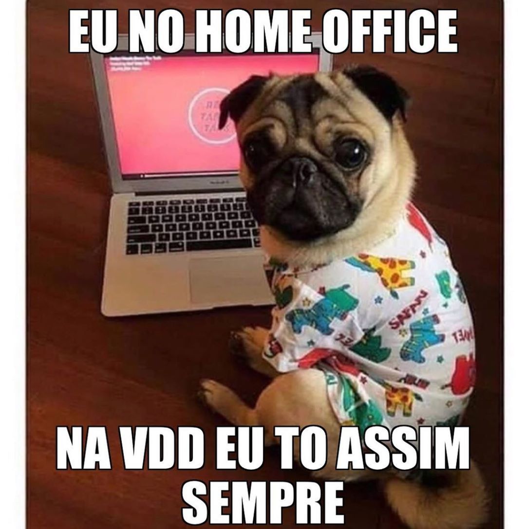 Foto Como usar seu tempo em casa com o impacto do Coronavírus Foto Como usar seu tempo em casa com o impacto do Coronavírus - Imagem 0