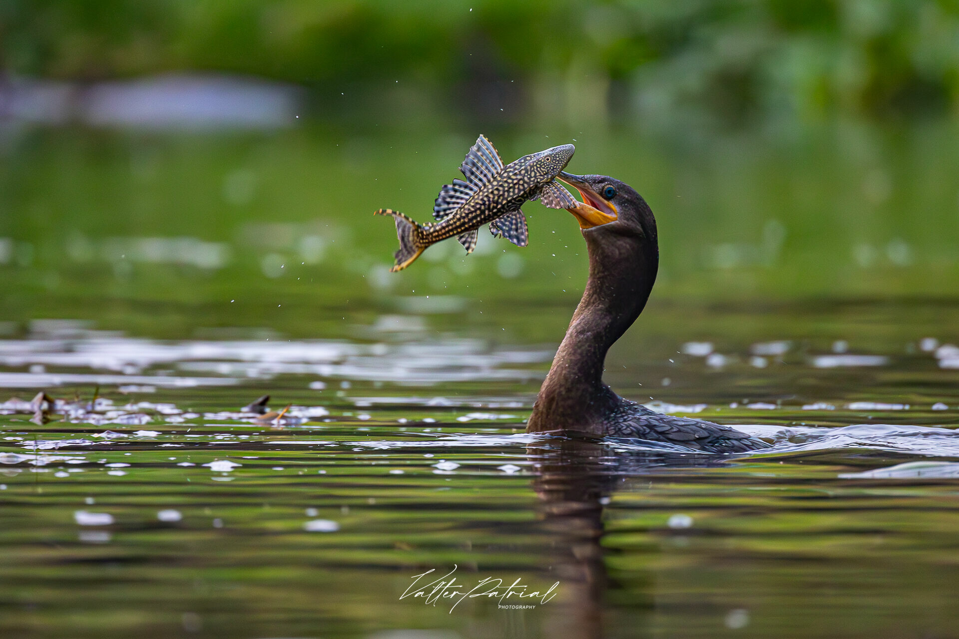 Foto Qual é a melhor lente para seus trabalhos fotográficos? - Imagem 12