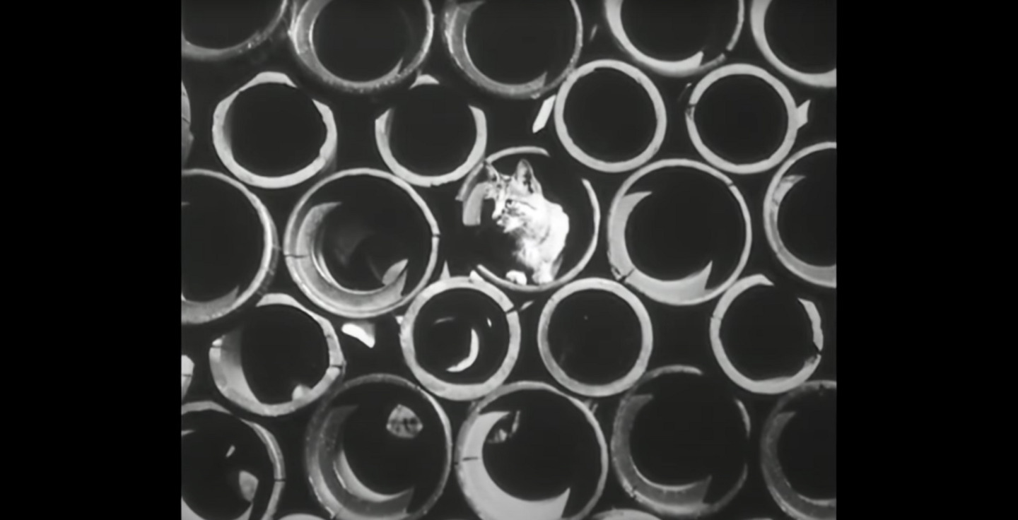 Aprenda Fotografia em um vídeo de 1949 - Aula de composição