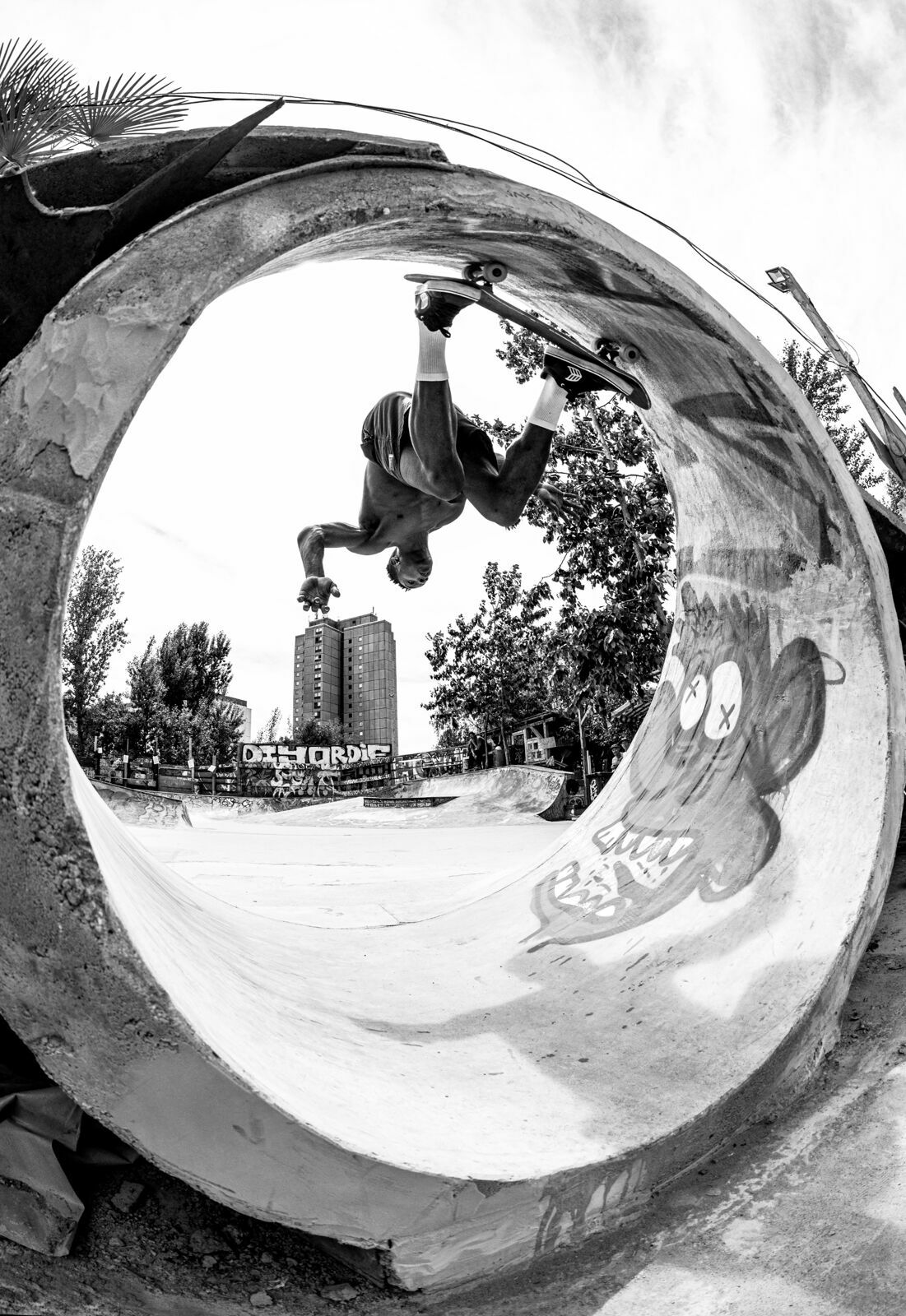 Foto Concurso de fotografia que realça a beleza do concreto - Imagem 23