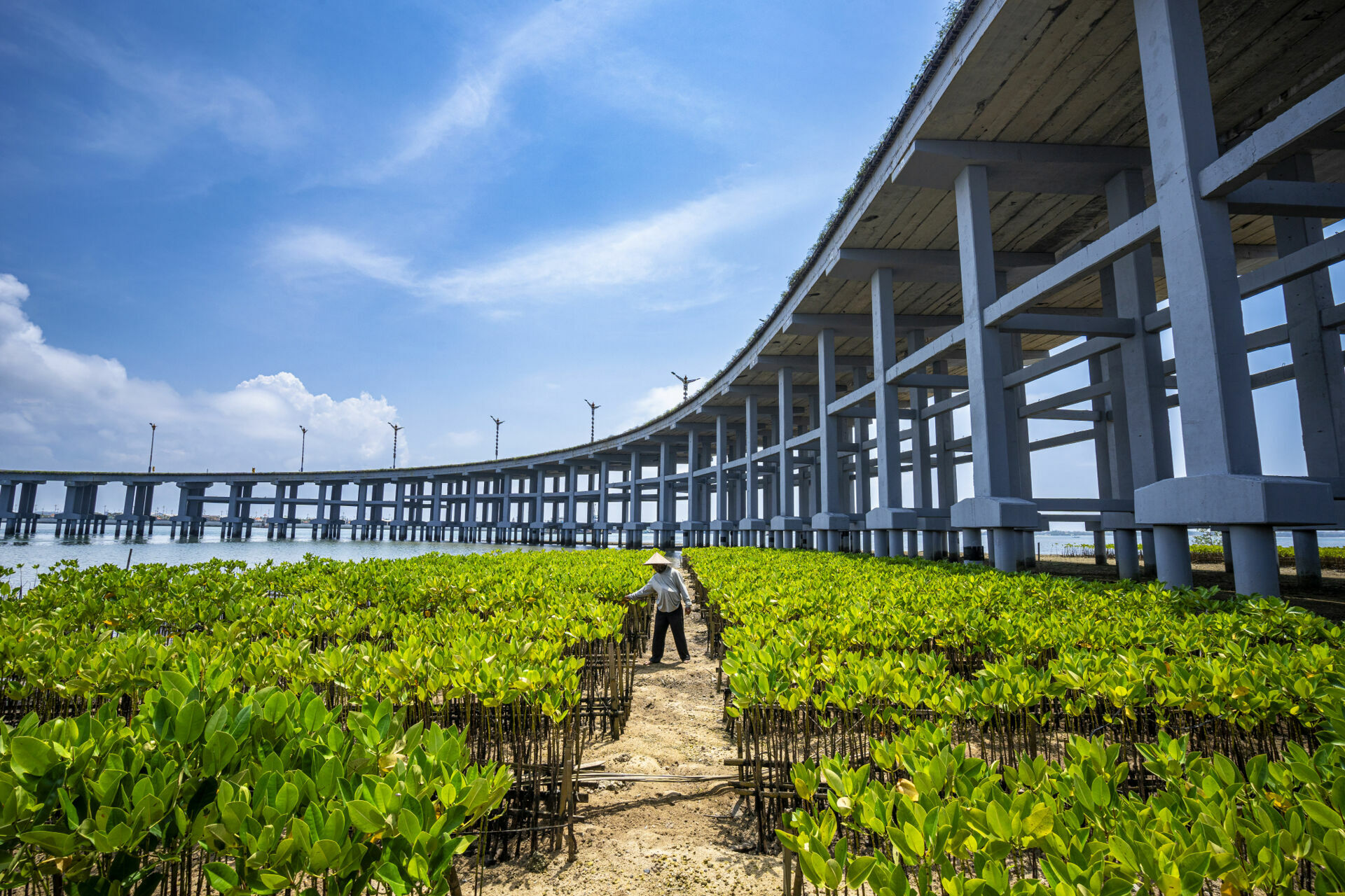 Foto Concurso de fotografia que realça a beleza do concreto - Imagem 11