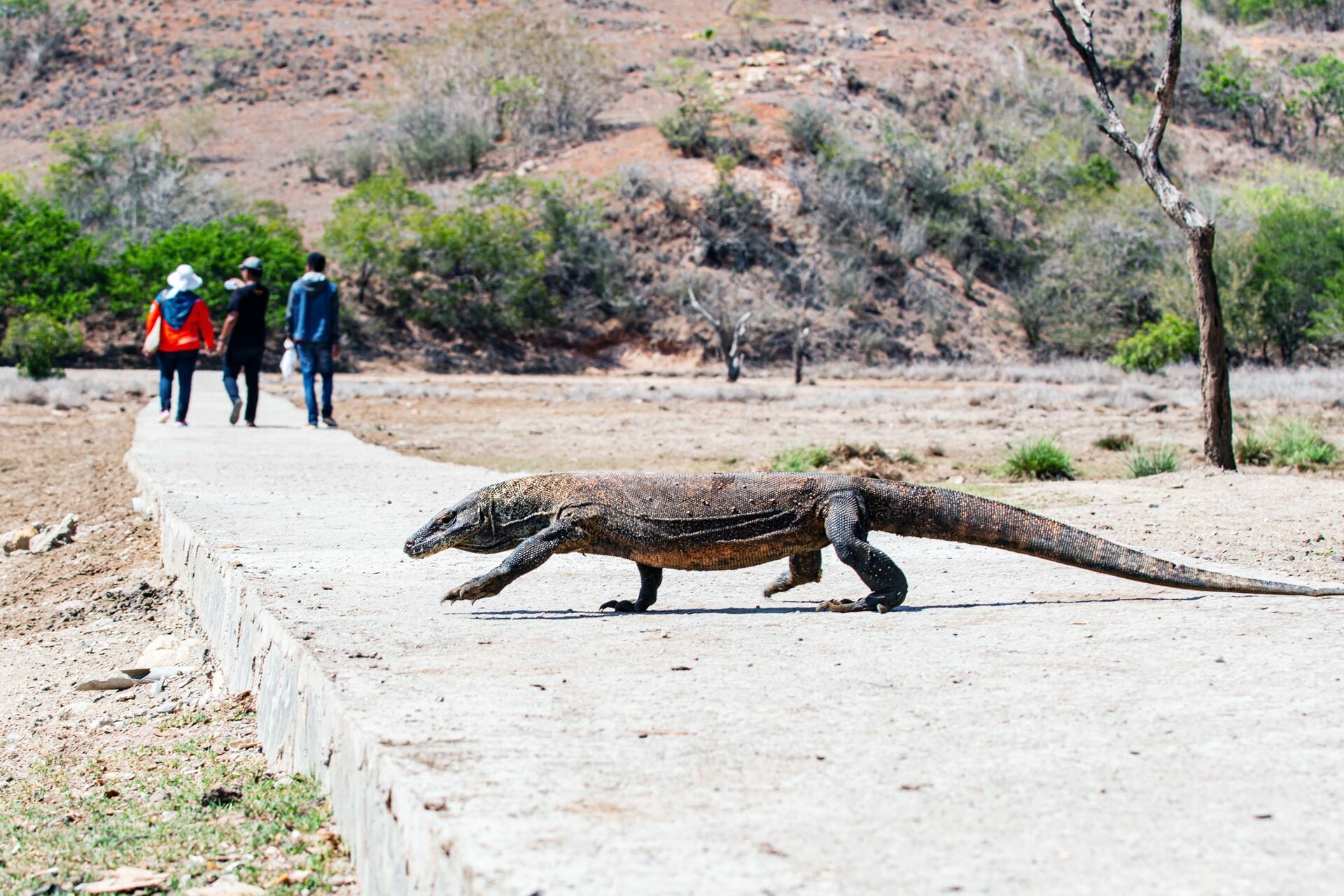 Foto Concurso de fotografia que realça a beleza do concreto - Imagem 12